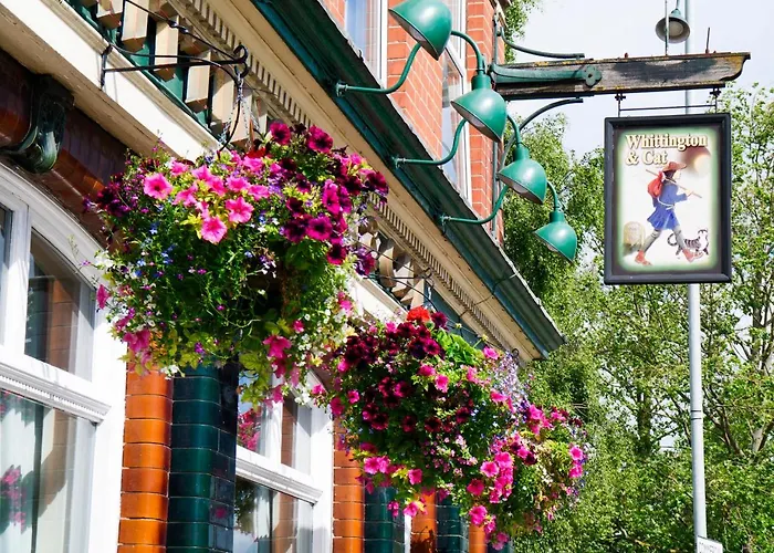 The Whittington And Cat
